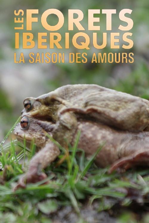 Les forêts ibériques : La saison des amours backdrop