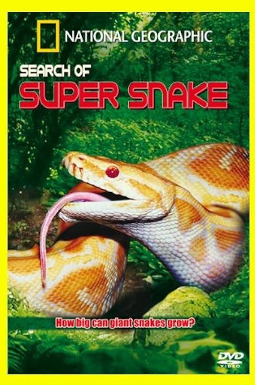 Search For the Supersnake backdrop