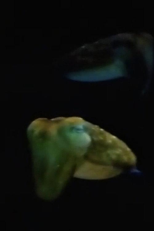 Aliens From Inner Space backdrop
