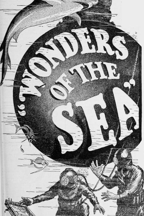 Wonders of the Sea backdrop