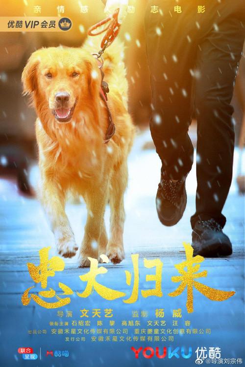忠犬归来 backdrop