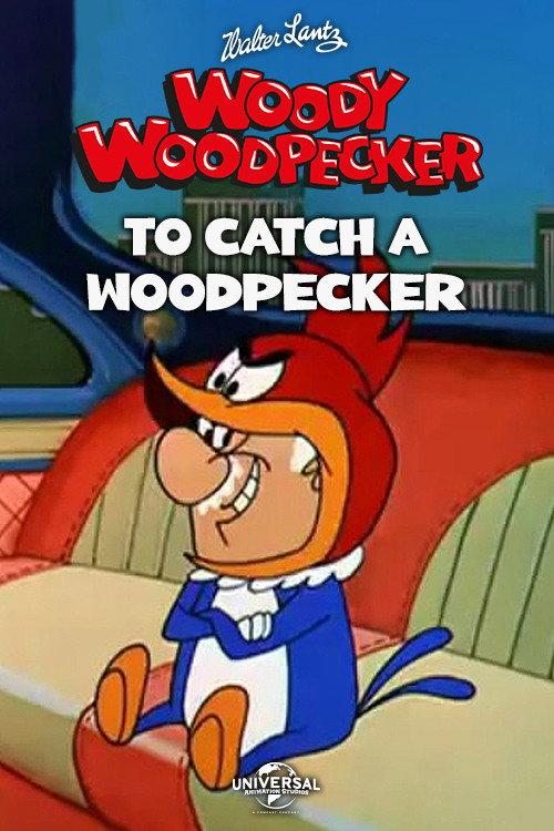 To Catch a Woodpecker backdrop