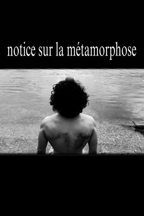 notice sur la métamorphose backdrop