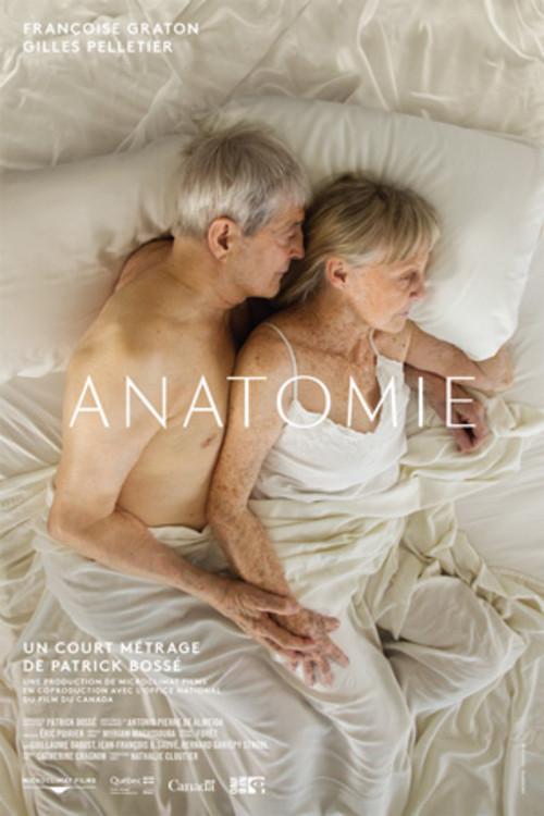 Anatomie backdrop
