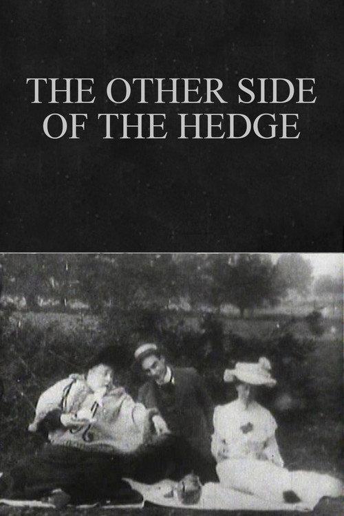 The Other Side of the Hedge backdrop