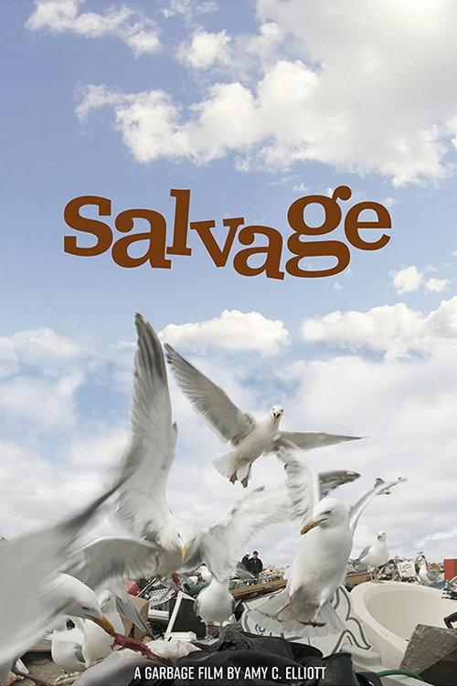 Salvage backdrop