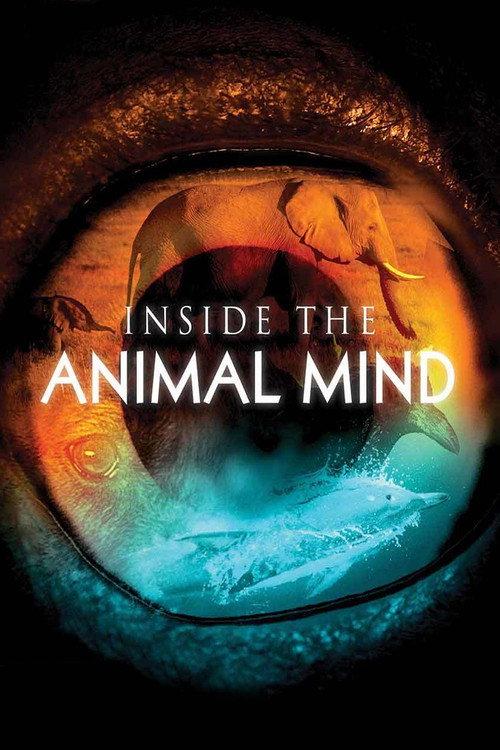 Inside the Animal Mind backdrop