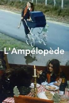 L'Ampélopède backdrop