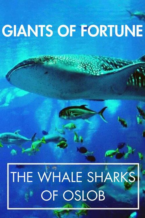 Giants of Fortune: The Whale Sharks of Oslob backdrop