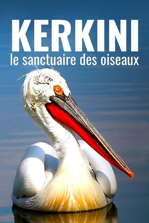Kerkini: The Bird Sanctuary backdrop
