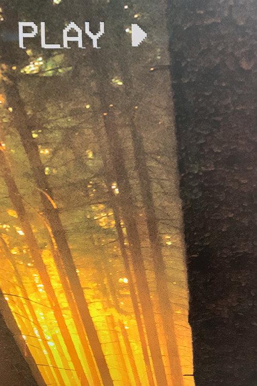 In The Forest backdrop