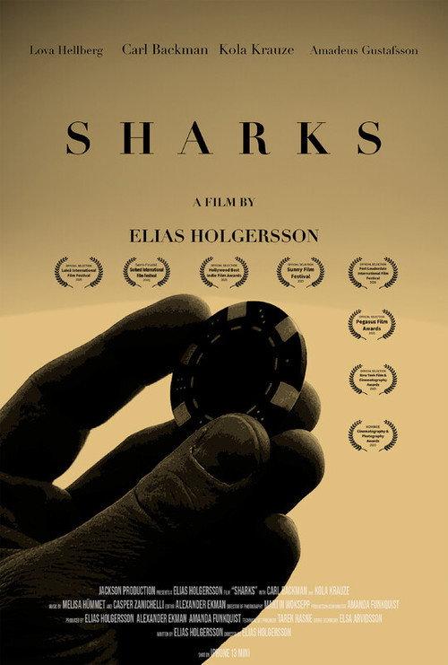 Sharks backdrop