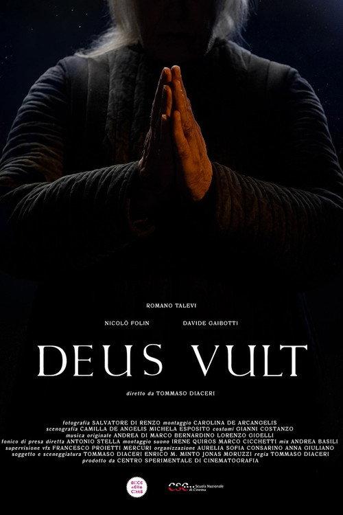 Deus Vult backdrop