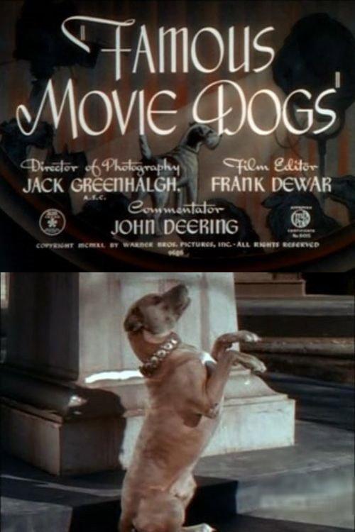 Famous Movie Dogs backdrop