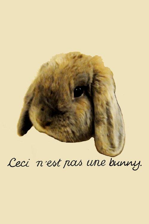 Bunny backdrop