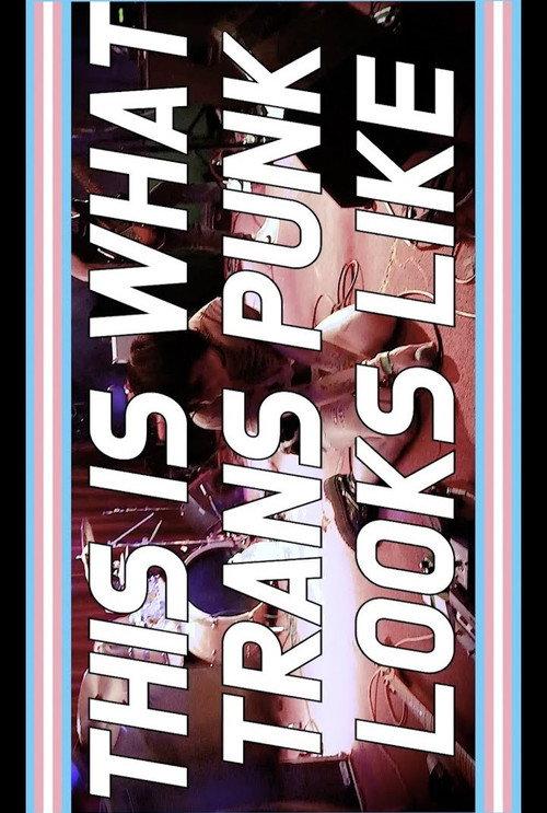 THIS IS WHAT TRANS PUNK LOOKS LIKE backdrop