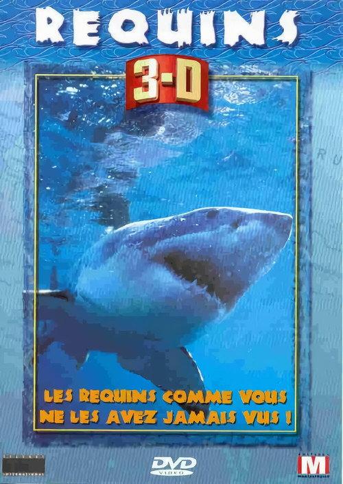 REQUINS 3-D backdrop