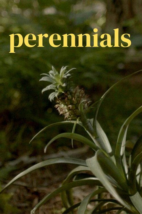 perennials backdrop
