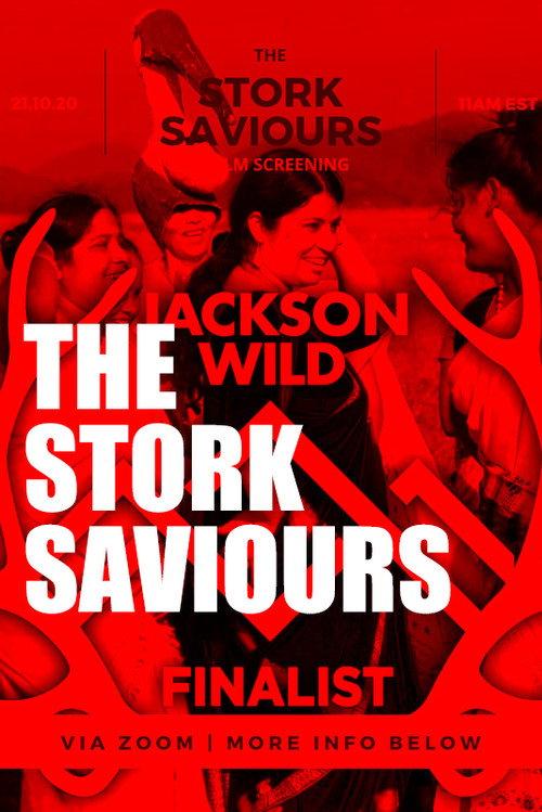 The Stork Saviours backdrop