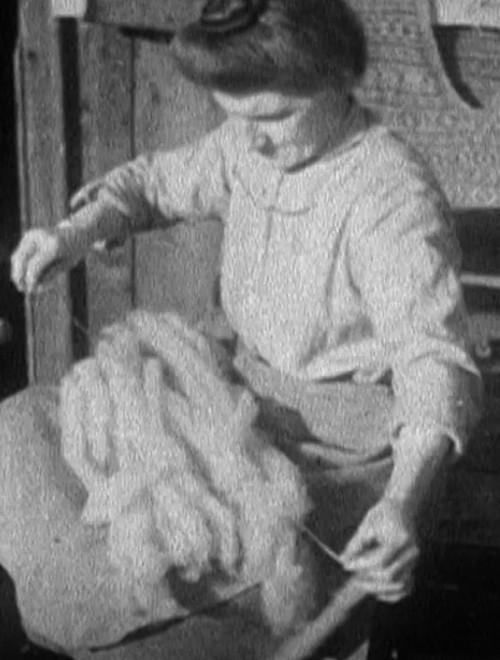 In Sheep’s Clothing backdrop
