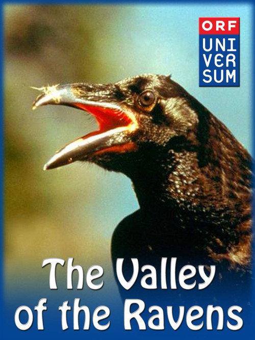 Valley of the Ravens backdrop