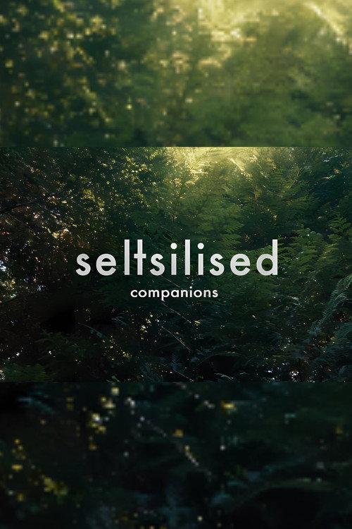 Companions backdrop