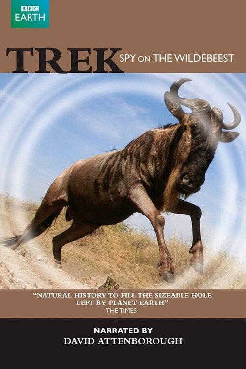 Trek: Spy on the Wildebeest backdrop