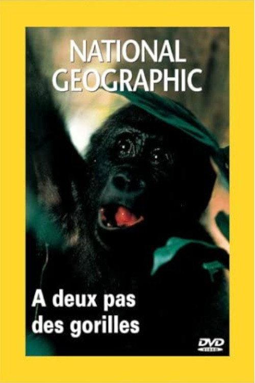 Living With Gorillas backdrop