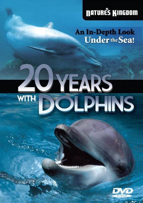 20 Years with the Dolphins backdrop