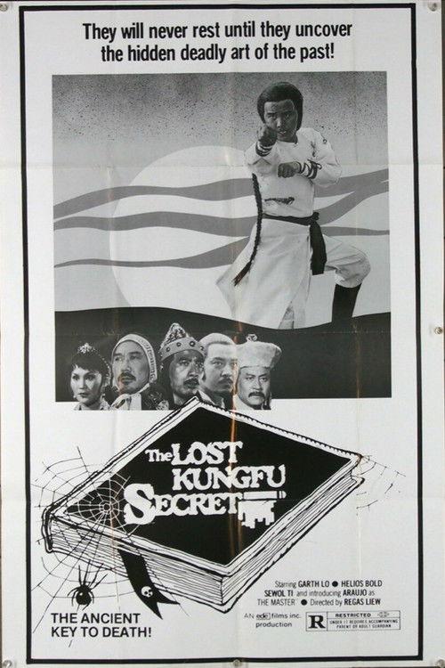 The Lost Kung Fu Secrets backdrop