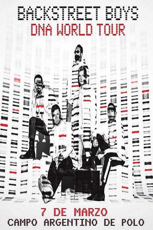 Backstreet Boys DNA World Tour - Argentina backdrop