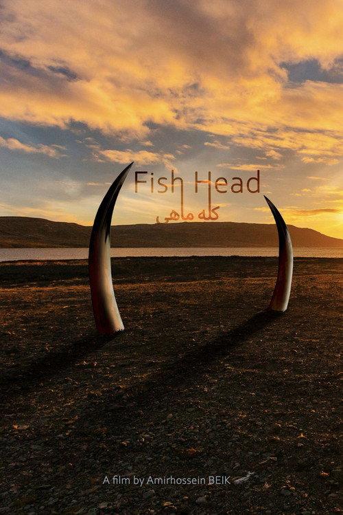 Fishhead backdrop