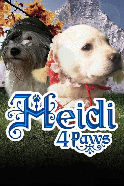 Heidi 4 Paws backdrop
