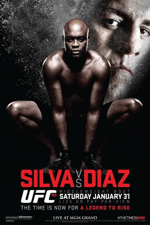 UFC 183: Silva vs. Diaz backdrop