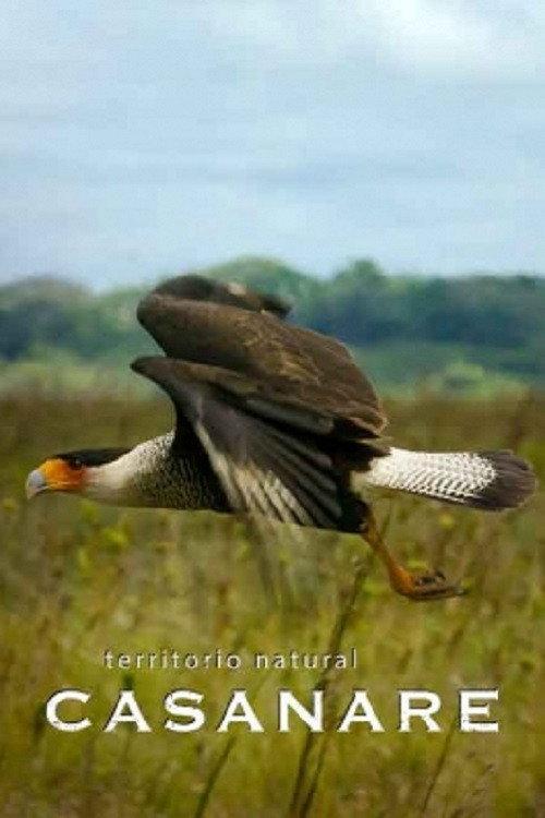 Territorio natural Casanare backdrop