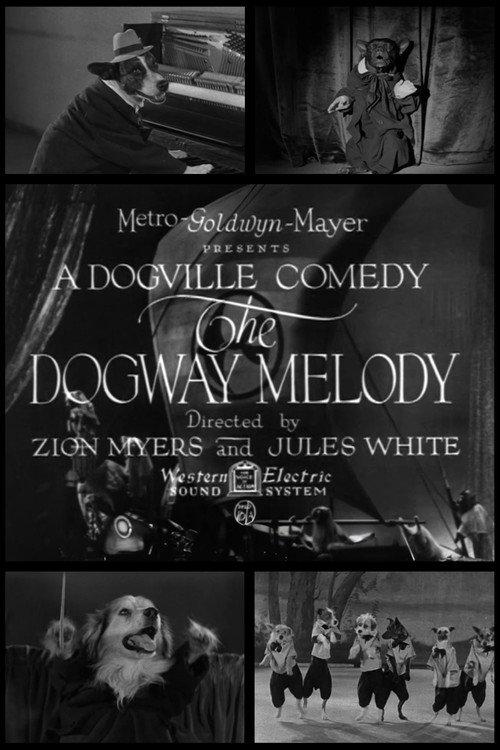 The Dogway Melody backdrop