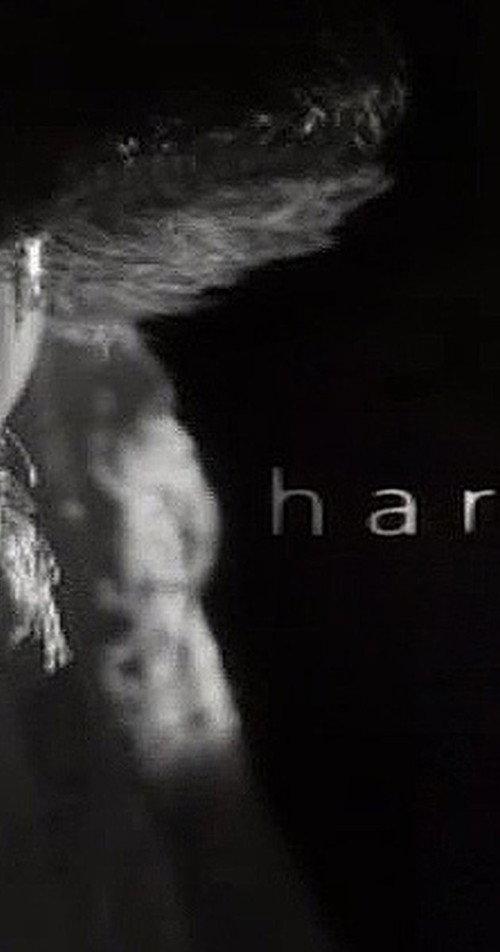Harvey backdrop