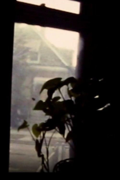 Windows backdrop