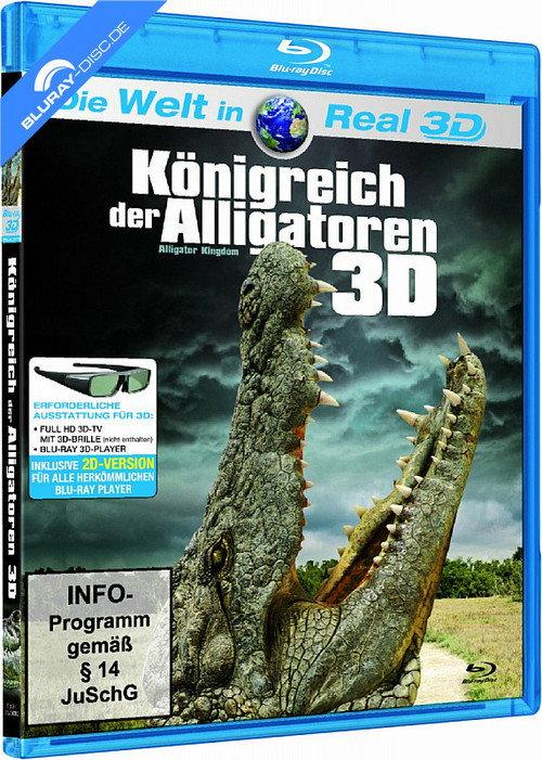Alligator Kingdom 3D backdrop