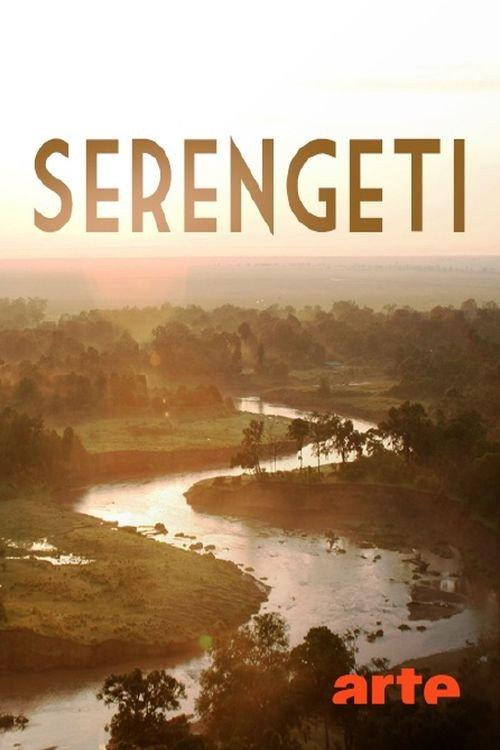 Serengeti backdrop