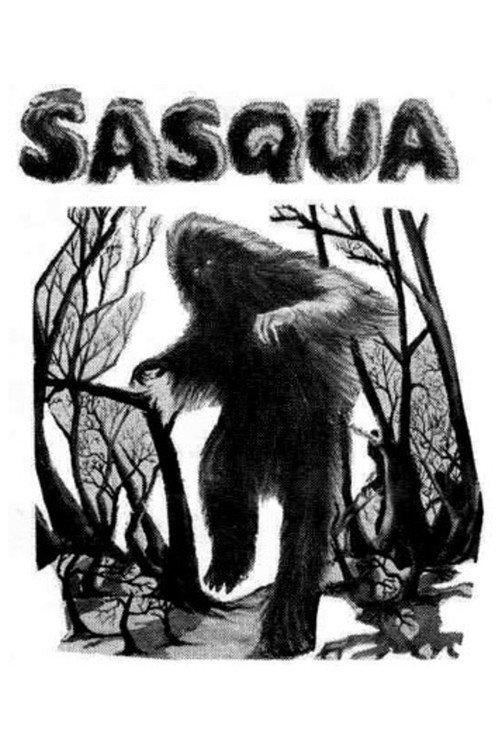 Sasqua backdrop