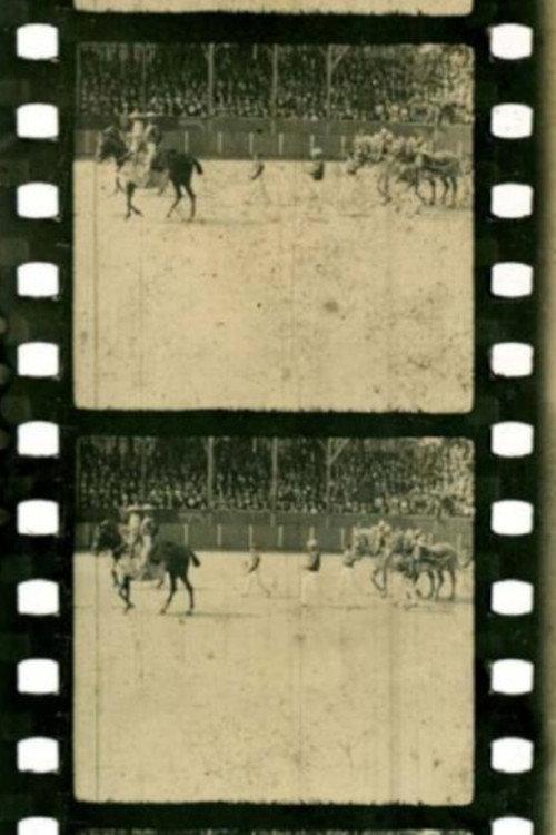 Corrida backdrop