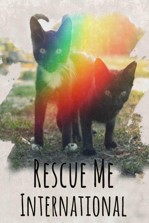 Rescue Me: International backdrop