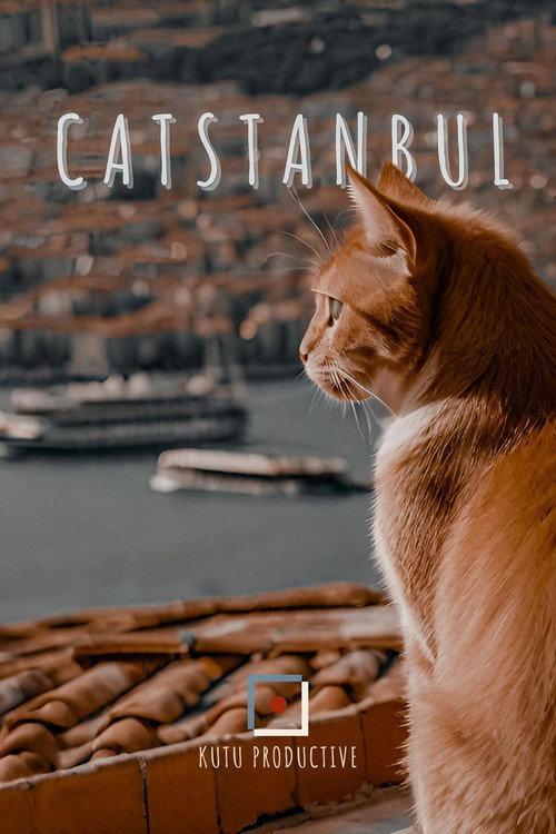 Catstanbul backdrop