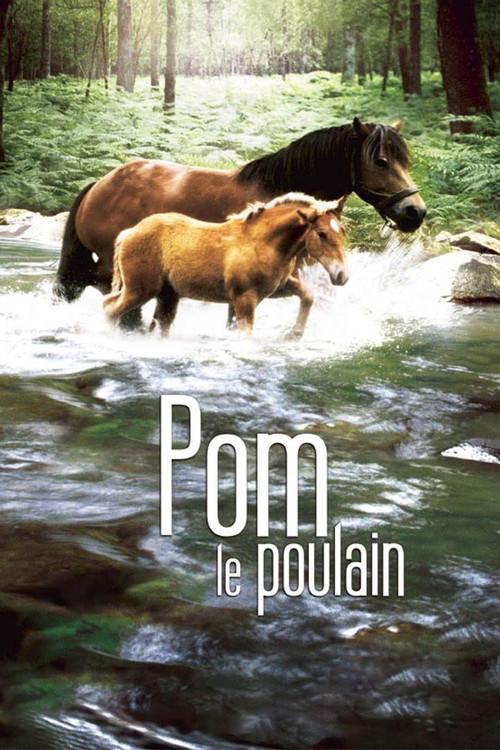 Pom, le poulain backdrop