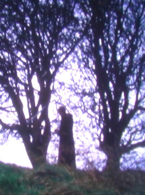 Tír na nÓg backdrop