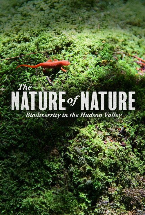 The Nature of Nature: Biodiversity in the Hudson Valley backdrop