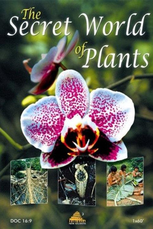 The Secret World of Plants backdrop