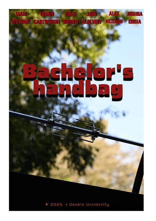 Bachelors Handbag backdrop
