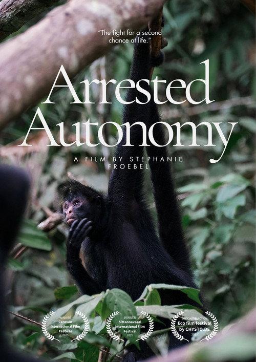 Arrested Autonomy backdrop